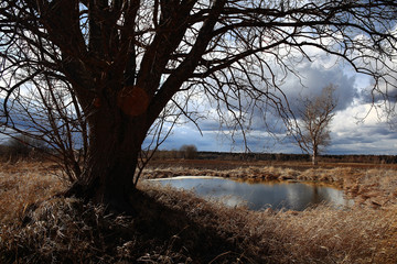 autumn landscape in nature