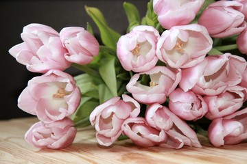 Obraz na płótnie Canvas pink tulips