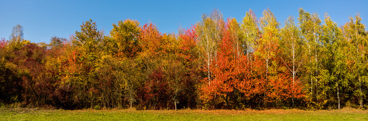 Fototapeta premium Buntes herbstliches Panorama
