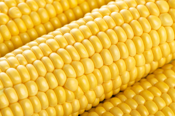 Fresh corn