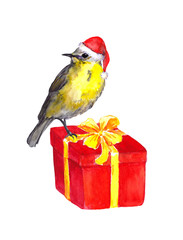 Bird in red santa hat on red christmas present box. Watercolor