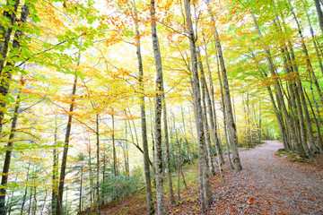 Fototapeta premium Ordesa