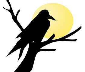 silhouette raven