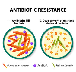 Antibiotic resistance