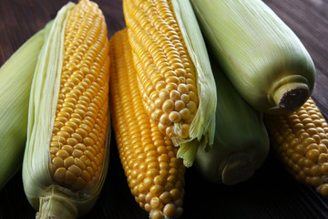 Ripe corn on wooden background
