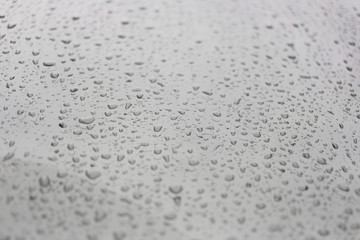 Rain drops on glass background.