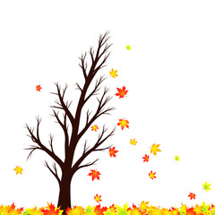 Lovely autumn season maple tree silhouette with red and gold colored leaves in the wind and floor. Beautiful windy autumnal tree with leaves illustration isolated on white with copy space background.