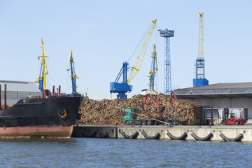 Holzstapel im Industriehafen
