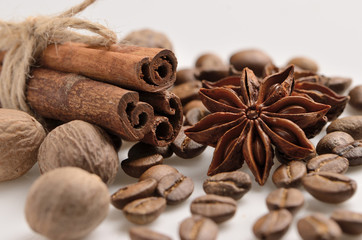 whole set of spices on the white background