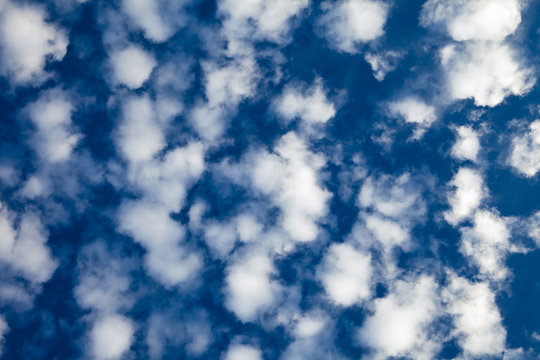 Altocumulus Clouds