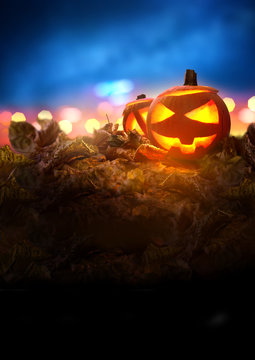 Halloween Night. A Jack O Lantern Pumpkin glowing orange on Halloween evening between autumn leaves.