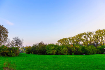Fototapeta na wymiar Colorful Trees and Bushes on Green Field