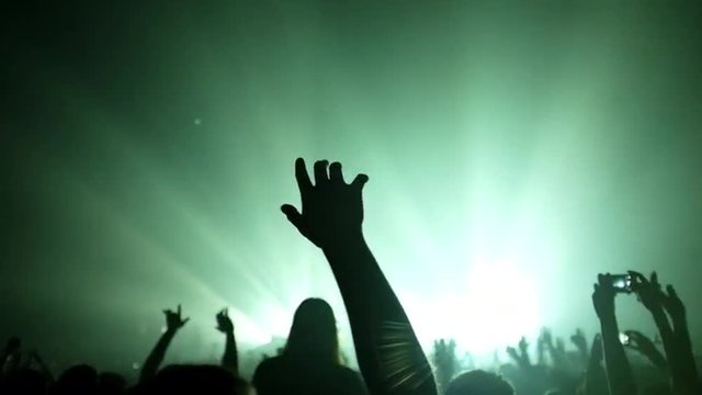 Here is  footage of people crowd partying at a concert or a night club. You can see dark silhouettes dancing, jumping and waving hands in front of stage.