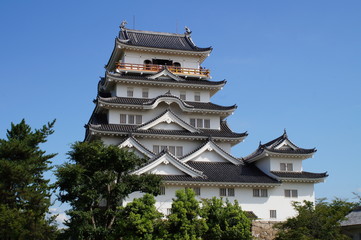 Fototapeta premium 福山城天守閣