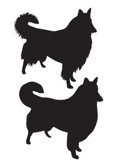 black vector silhouettes of Collie Rough dogs