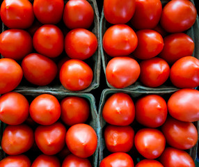 Cherry Tomatoes in Pint Container