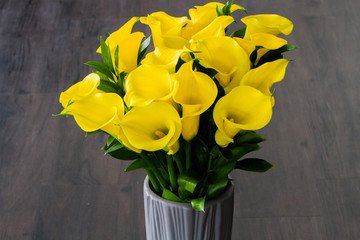 Bouquet of yellow Calla lilies (Zantedeschia) in grey vase over dark wooden background