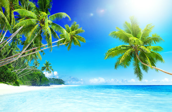 Tropical Paradise Beach Seascape Travel Destination Concept