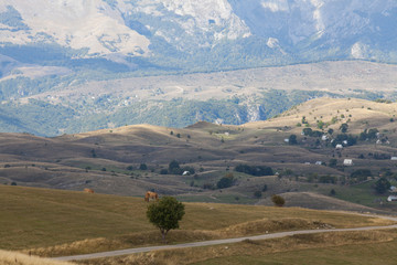 Fototapeta na wymiar mountains in Durmitor national Park