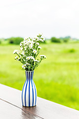 White flower vase on the table with a background field.