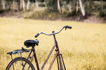 Fototapeta na wymiar Old bicycle in the rice field in vintage filter