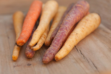different colored fresh picked assorted carrots and parsnips on