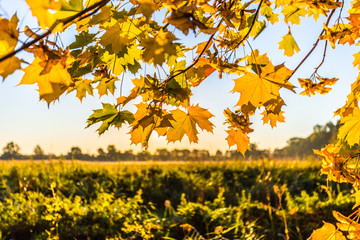 Herbst in Mecklenburg-Vorpommern