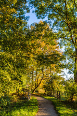 Naklejka premium Herbst in Mecklenburg-Vorpommern