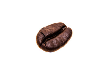 Single roasted coffee bean. All on white background