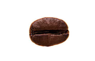 Single roasted coffee bean. All on white background