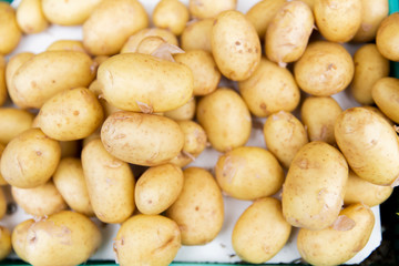 close up of potato at street market