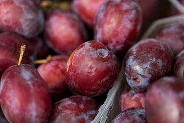 close up of satsuma plums in box at street market