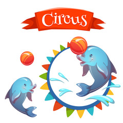 Circus banner with clever dolphin. Vector illustration