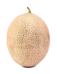 Cantaloupe melon