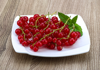 Red currants