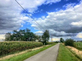road between farmland