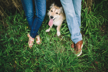 dog and couple on the green grass.