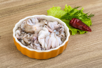 Raw baby octopus