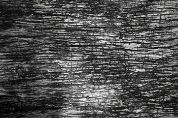 Obraz premium old wooden texture