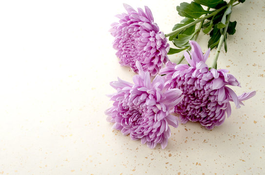 6 430 件の最適な 法事 画像 ストック写真 ベクター Adobe Stock