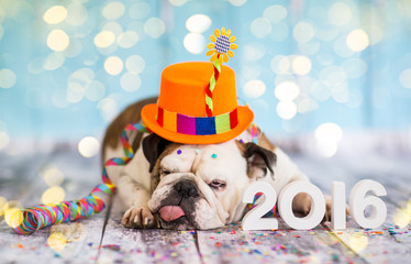 Happy New Year 2016