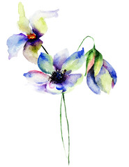Fototapeta na wymiar Blue flowers