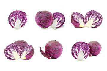 Collection red cabbage on a white background