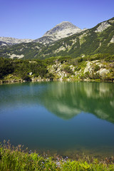 Fototapeta na wymiar Reflection of Muratov peak in Okoto lake, Pirin Mountain, Bulgaria