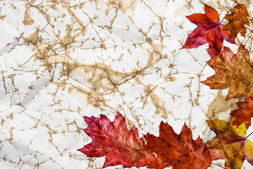 old paper texture with foliage