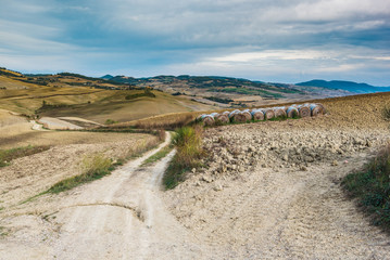 Autumn cultivated fields