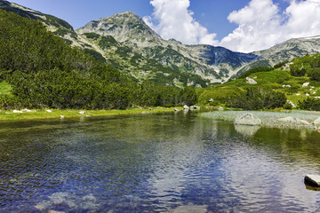 Naklejka na ściany i meble Reflection of Muratov peak in Mountain river, Pirin Mountain, Bulgaria