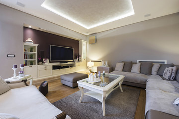 Interior of a luxury spacious living room