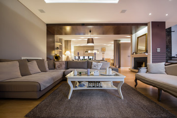 Interior of a luxury living room