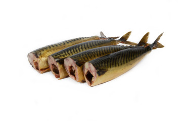 Makrele, warm geräuchert